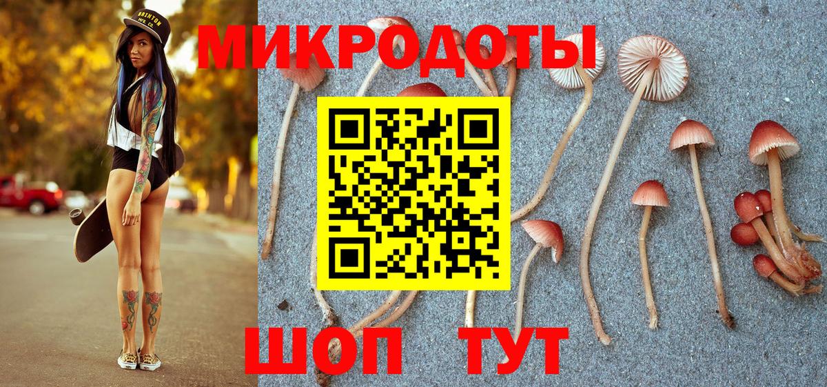 Псилоцибиновые грибы прущие грибы Ставрополь